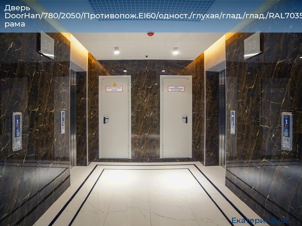 Дверь DoorHan/780/2050/Противопож.EI60/одност./глухая/глад./глад./RAL7035/лев./угл. рама, ekaterinburg.doorhan.ru