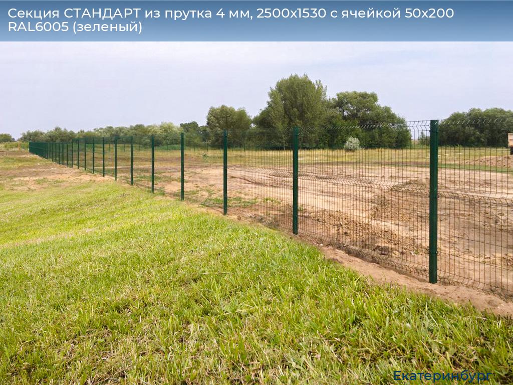 Секция СТАНДАРТ из прутка 4 мм, 2500x1530 с ячейкой 50х200 RAL6005 (зеленый), ekaterinburg.doorhan.ru