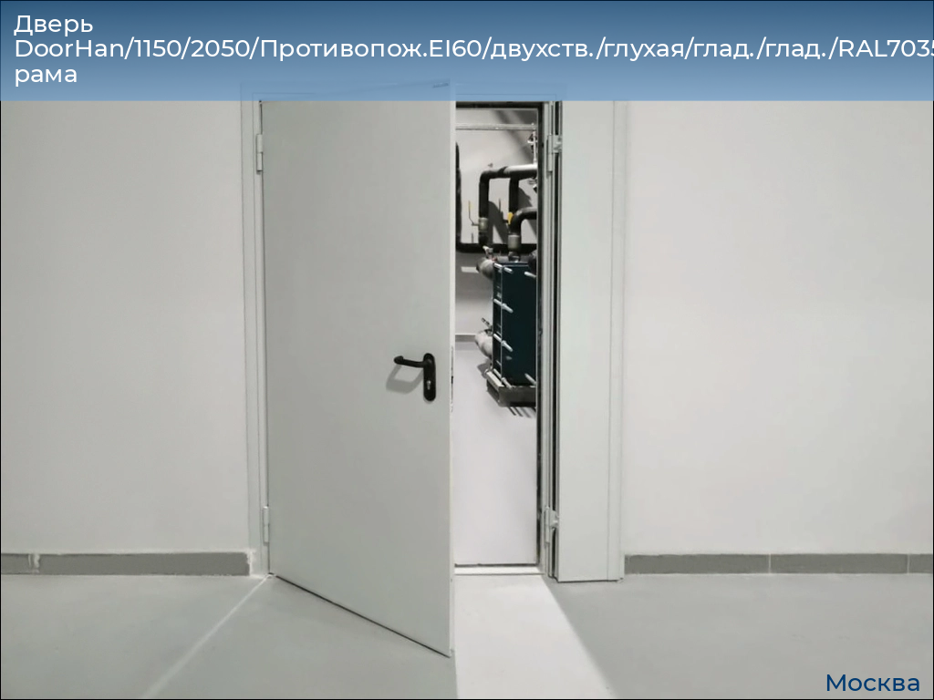 Дверь DoorHan/1150/2050/Противопож.EI60/двухств./глухая/глад./глад./RAL7035/прав./угл. рама, 